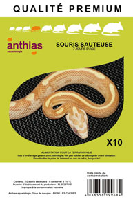 souris sauteuse 10p 7 jours